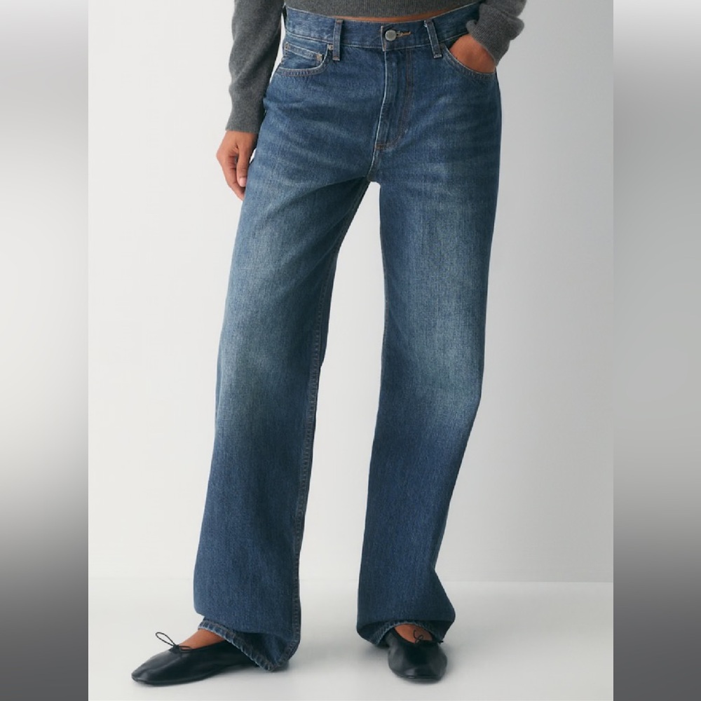 Aritzia Denim Forum Iggy Lo Baggy